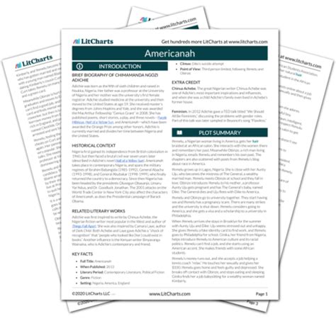 litcharts|litcharts americanah.
